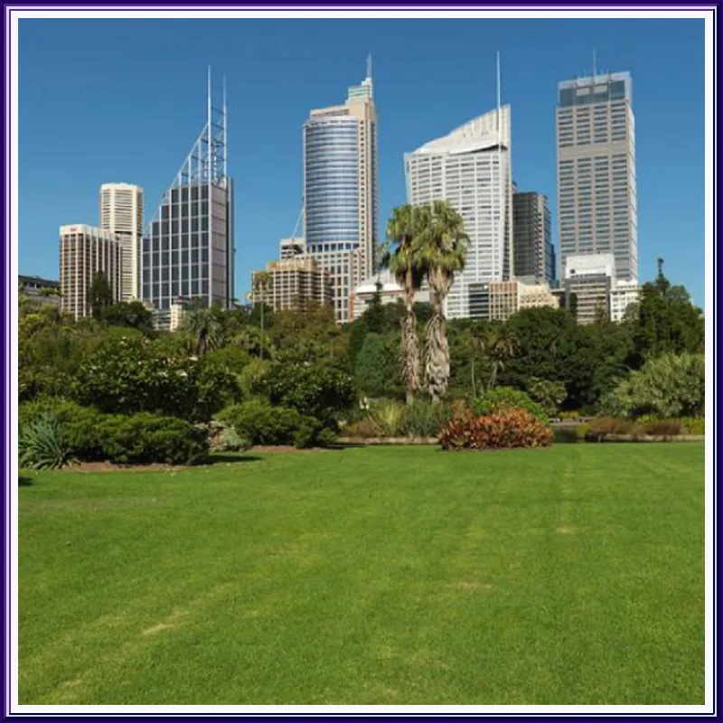 Song Hotel Sydney 호텔 시설 이미지