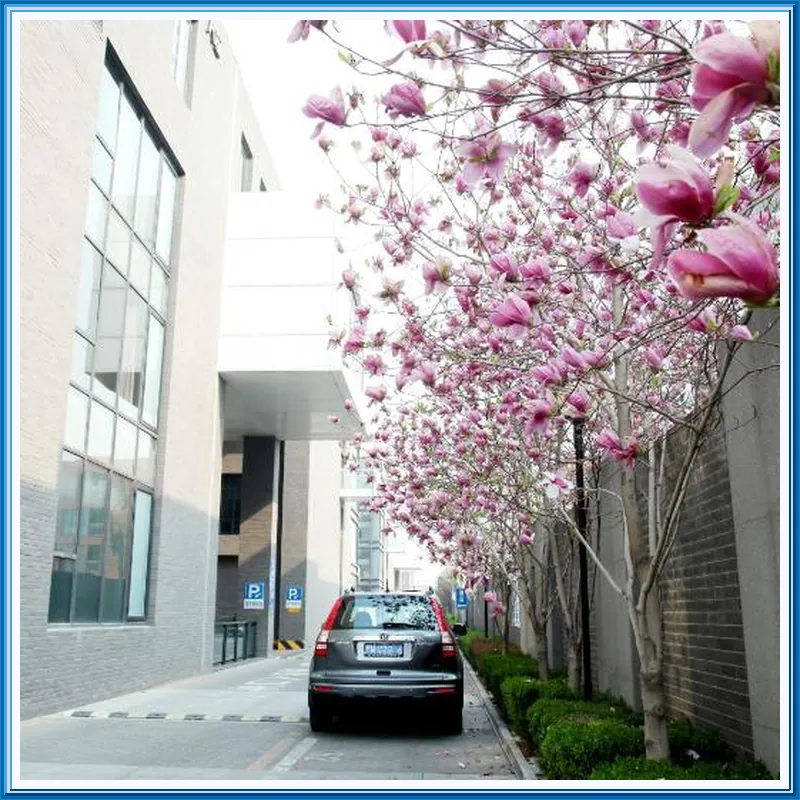 Ramada by Wyndham Beijing Airport hotel view