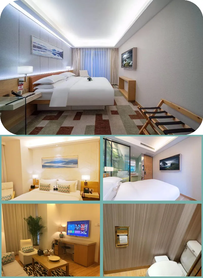 H-Hotel Riverside Chengdu hotel main view