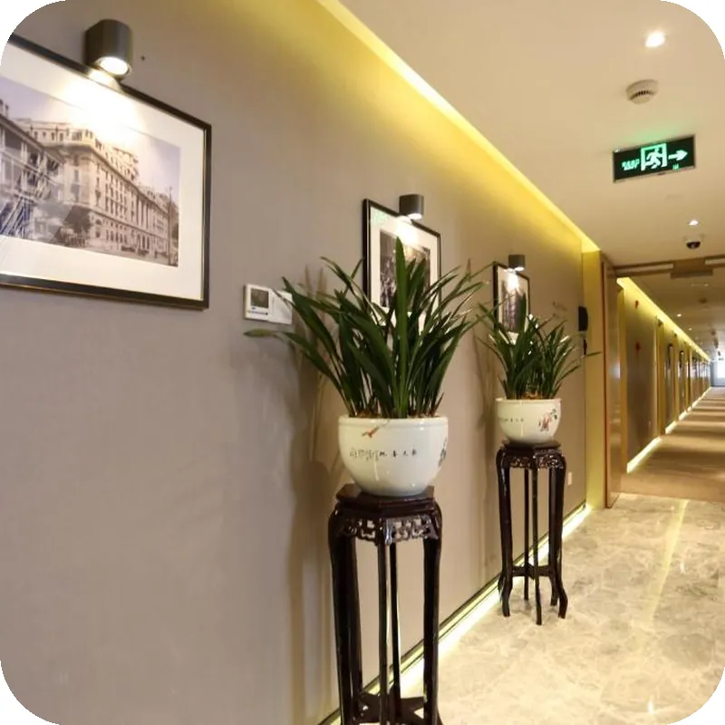 Jinjiang Metropolo Classiq Shanghai Nanjing Road (East) hotel view