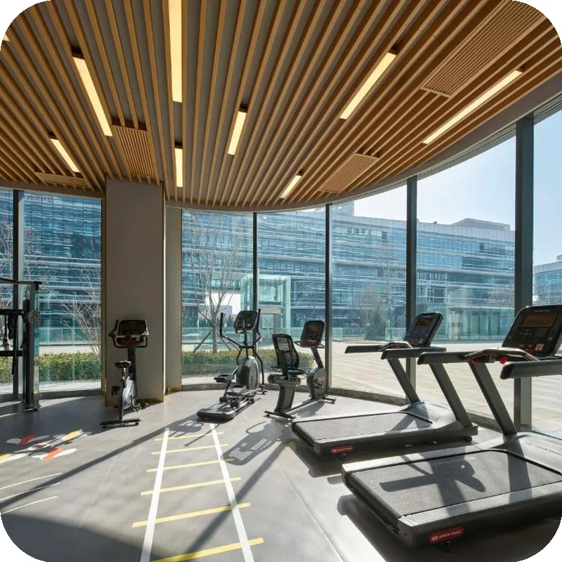 Hilton Garden Inn Beijing Daxing International Airport hotel facilities