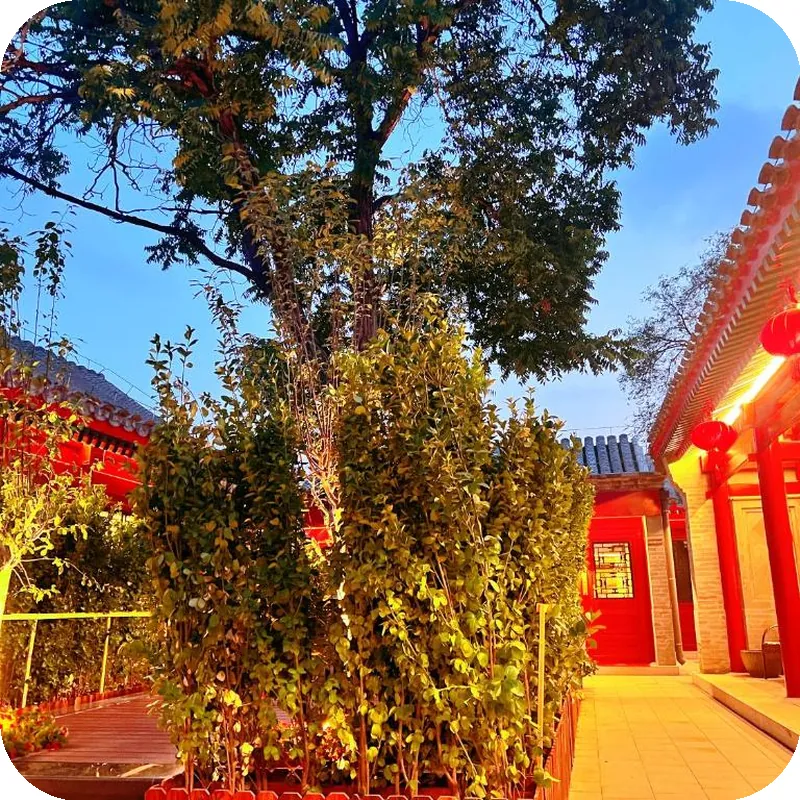 Jingshan Garden Hotel hotel view