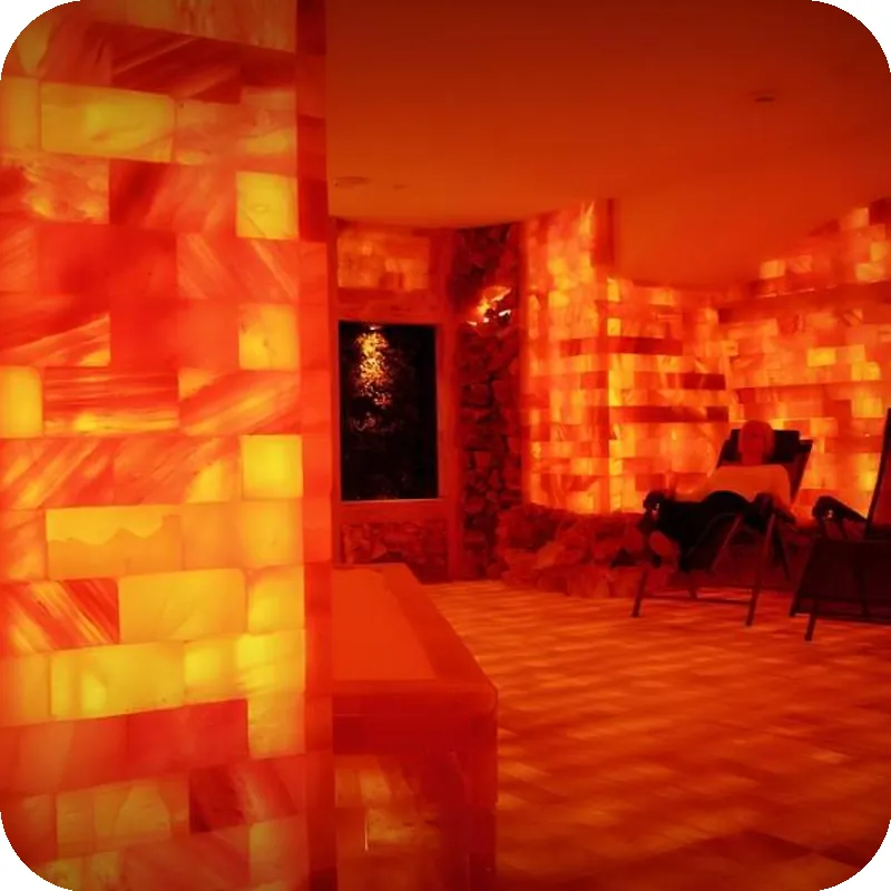 Hotel Vitalis by AMEDIA 호텔 시설 이미지