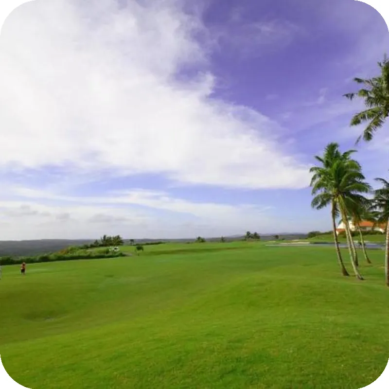 Leopalace Resort Guam - Condo 호텔 시설 이미지