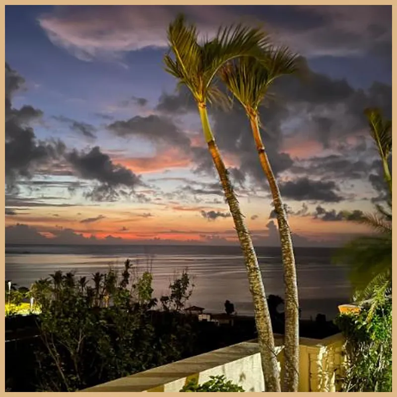 Holiday Resort & Spa 호텔 이미지