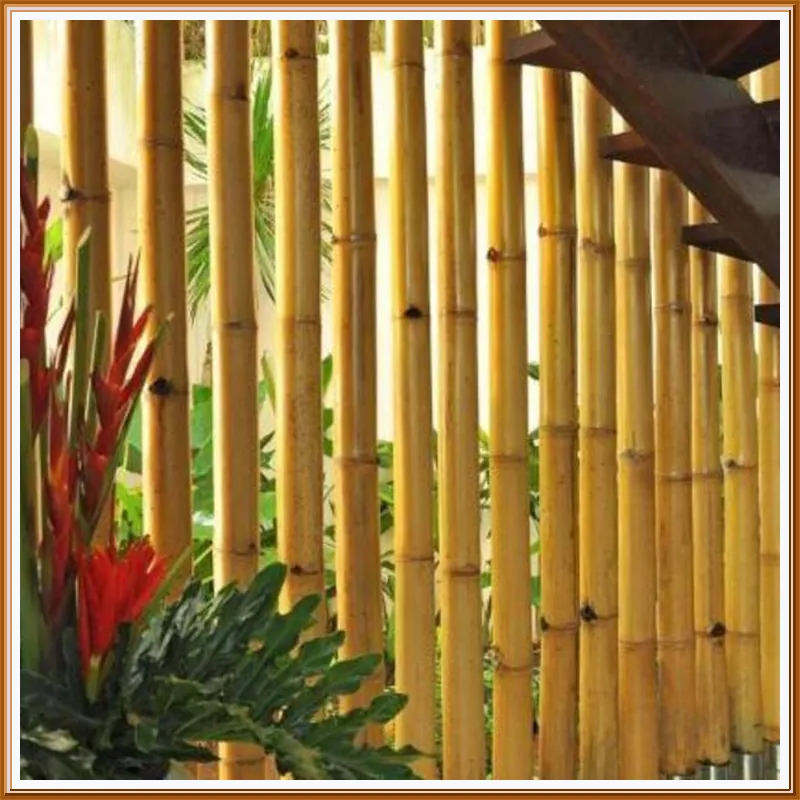 Villa La Sirena by Nagisa Bali 호텔 이미지