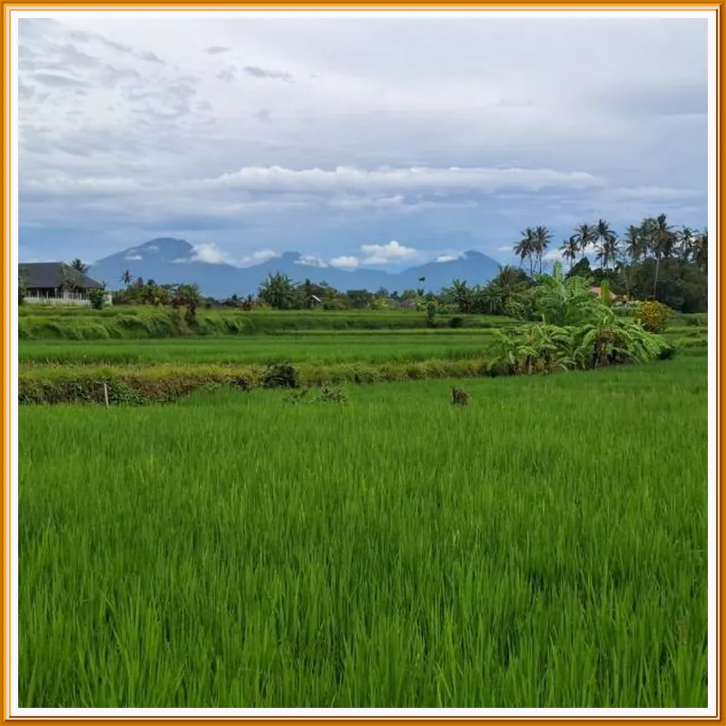 Pondok Padiku Villa by Nusantara Hospitality 호텔 이미지