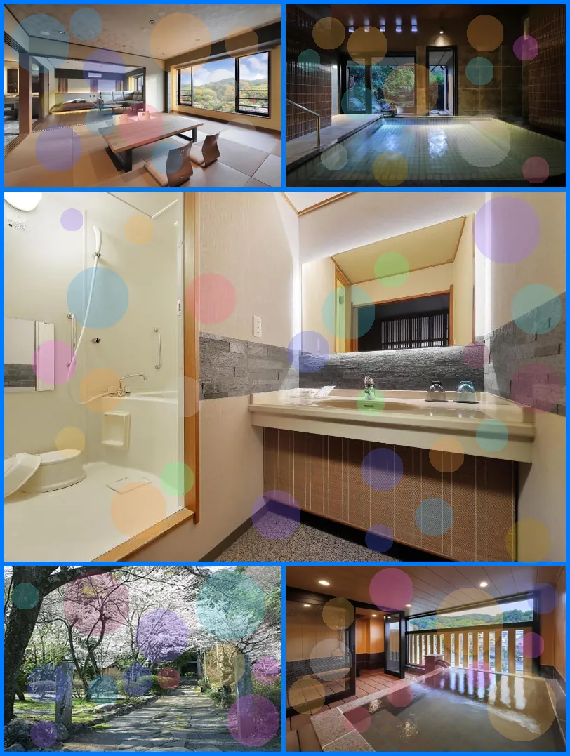 Mizu no Sato Marukyu Ryokan hotel main view