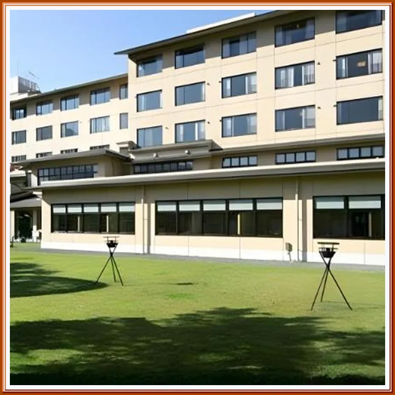Ryokan Yufuin Sansuikan hotel view