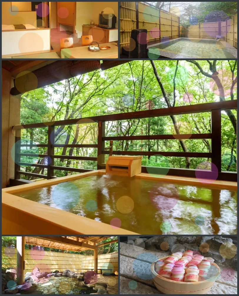 Hakone Kowakudani Onsen Ryokan Mizunoto hotel main view