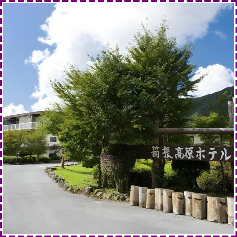 Hakone Kogen Hotel hotel view