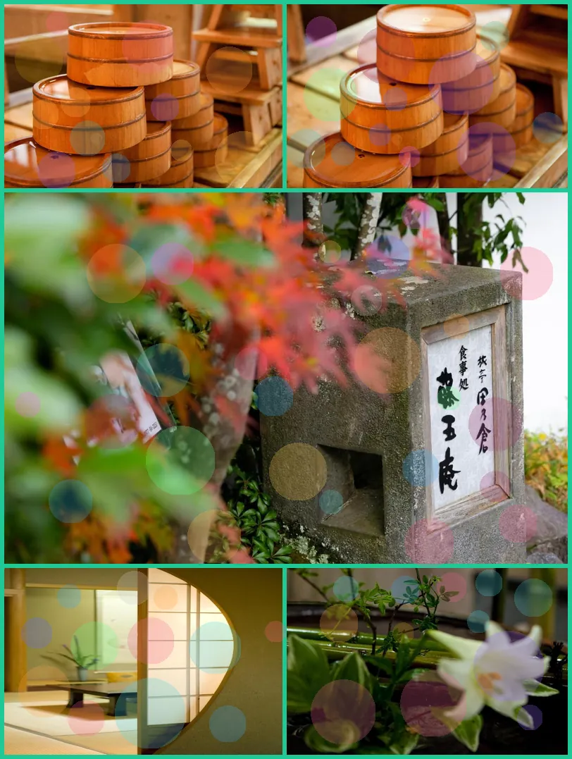 Ryotei Tanokura Ryokan hotel main view