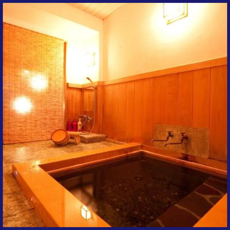 Ryotei Tanokura Ryokan hotel room