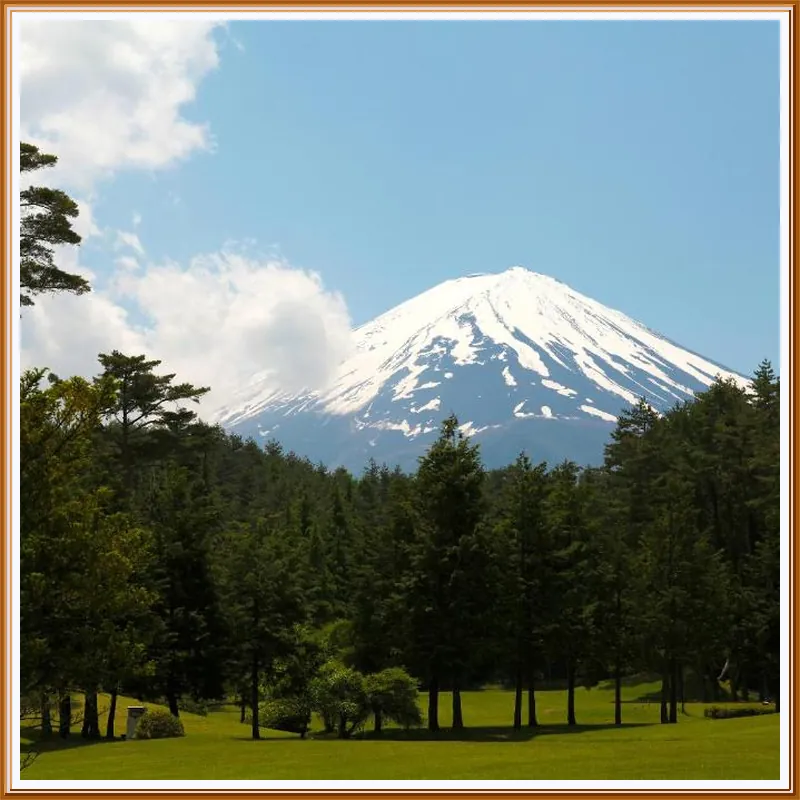 Fuji Premium Resort hotel view