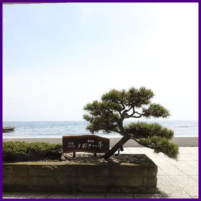 Heiseikan Shiosaitei hotel view