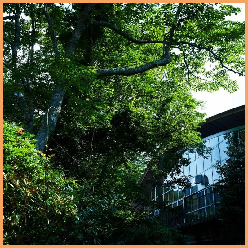 Hakone Retreat före hotel view