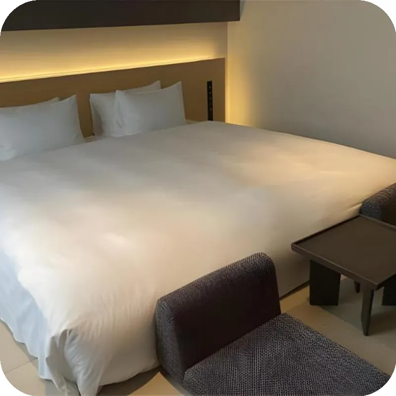 HOTEL AMANEK Kanazawa hotel room