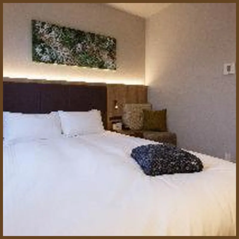 Hotel Forza Kanazawa hotel room