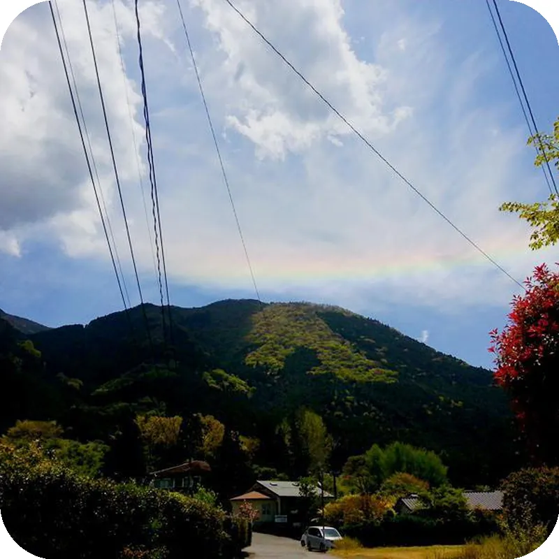 Oyado Kaikatei Ryokan hotel view