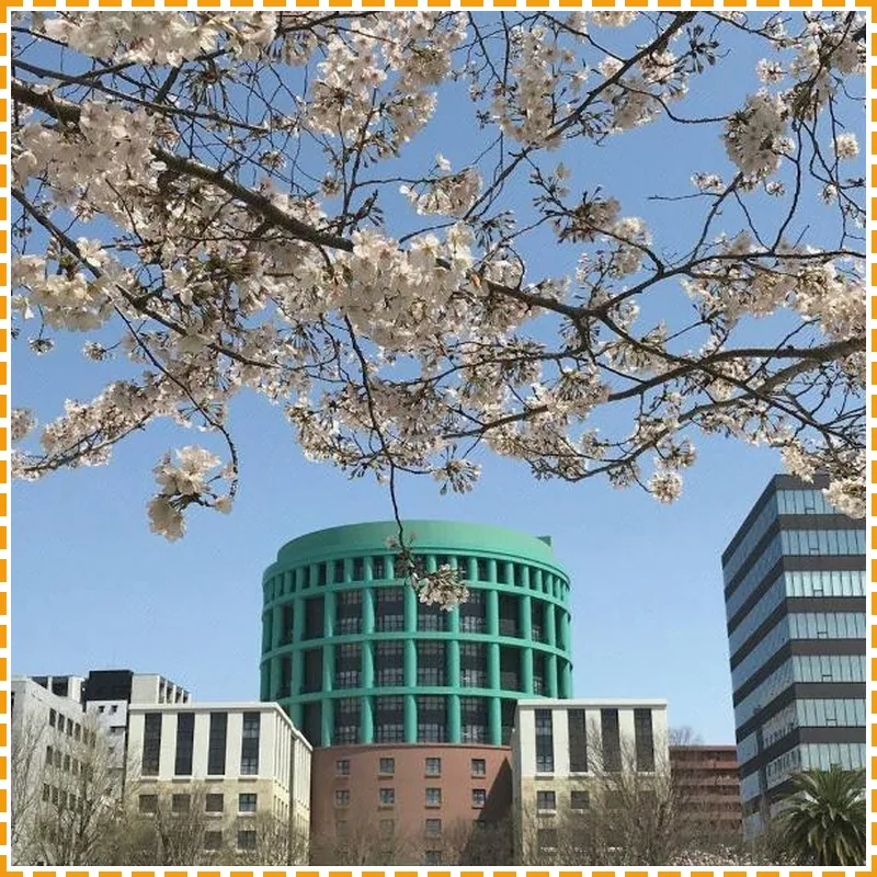 THE BASICS FUKUOKA hotel view