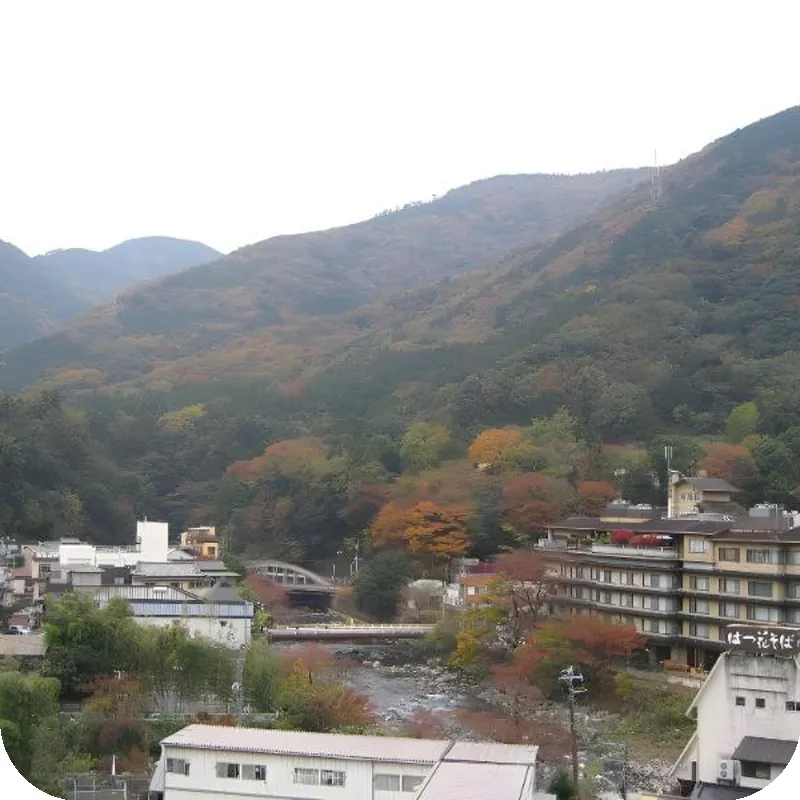 Ryokan Gyokutei hotel view