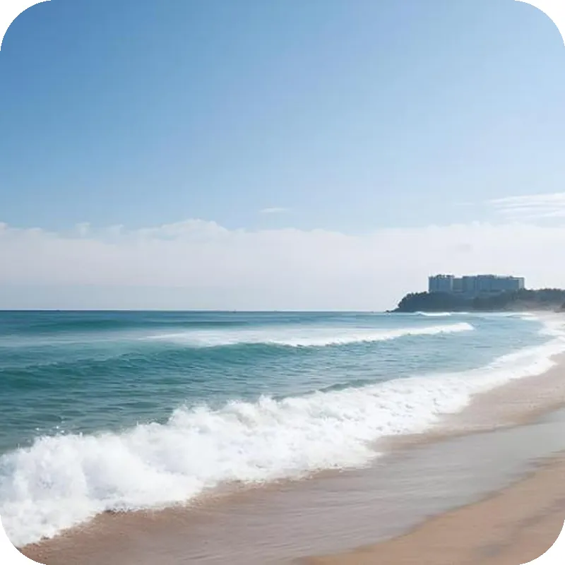 Sokcho Dragonfly Pension hotel facilities