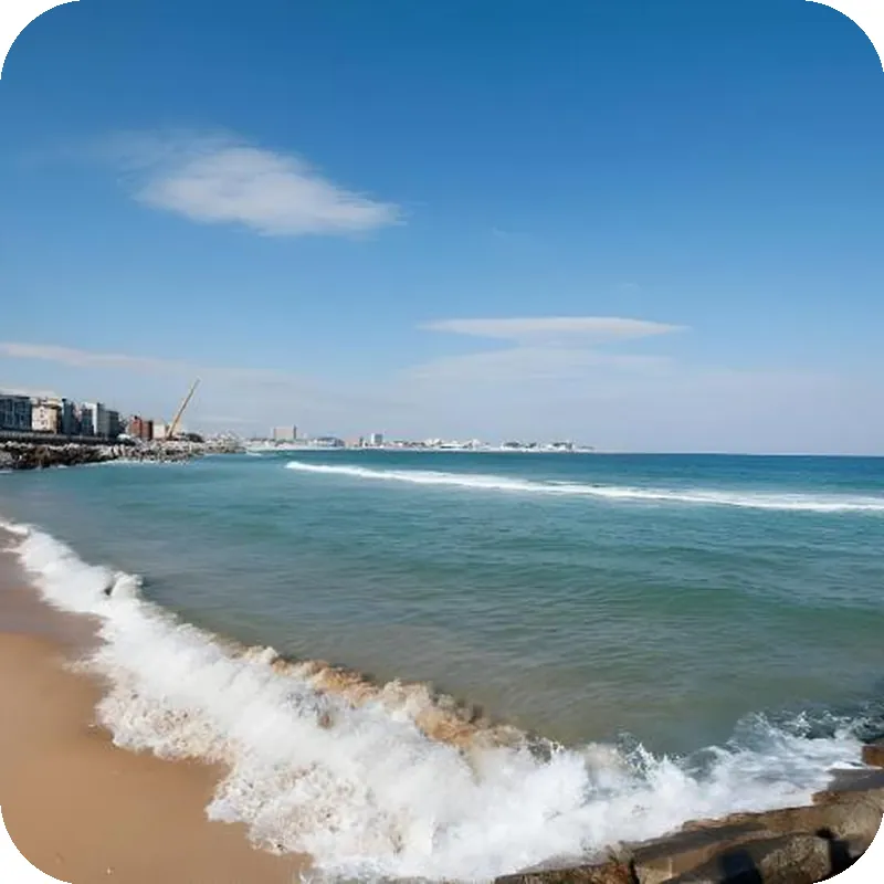 Sokcho Dragonfly Pension hotel facilities