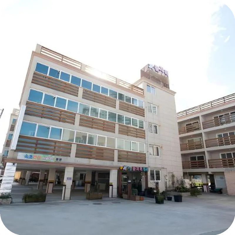 Sokcho Dragonfly Pension hotel view