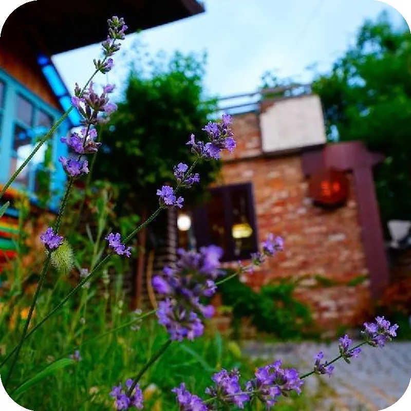 Jeonju Hanok Village Hongsi Guesthouse hotel facilities