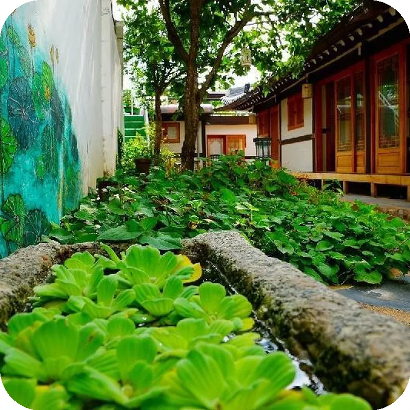 Jeonju Hanok Village Hongsi Guesthouse hotel facilities