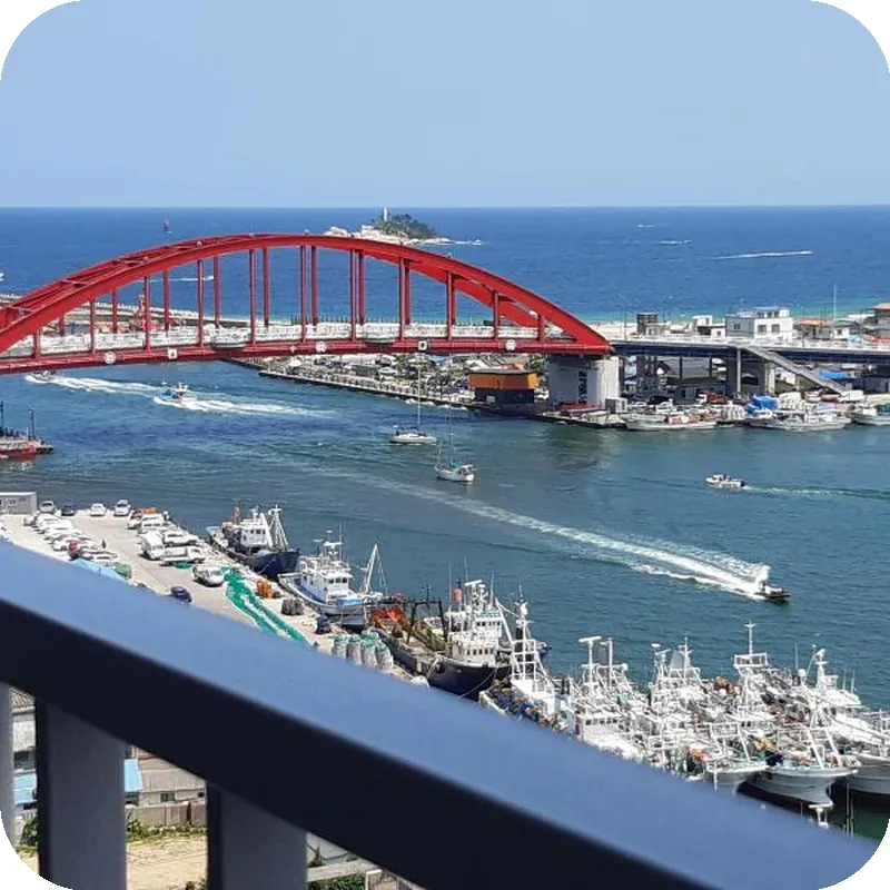 Sunrise-Hotel 11F Junior Suite (1.5 Room - 35㎡) Sea and Lake View hotel view