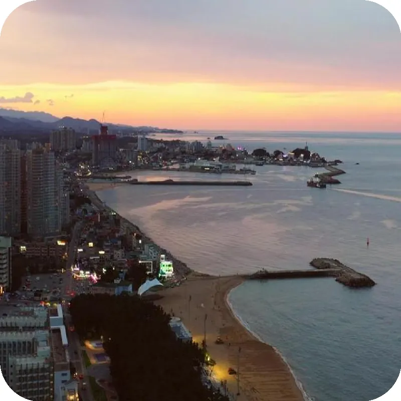 The BlueMark Hotel Sokcho hotel facilities