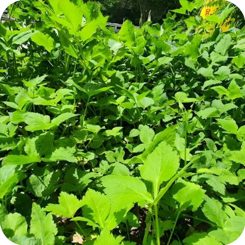 Wondumag pension 호텔 시설 이미지