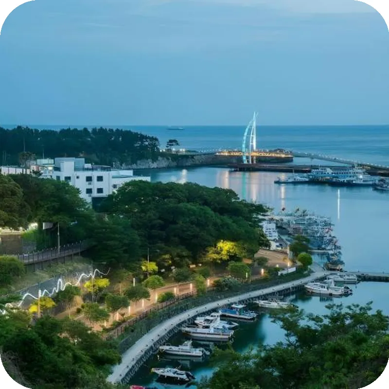 Hotel Fine Jeju hotel view