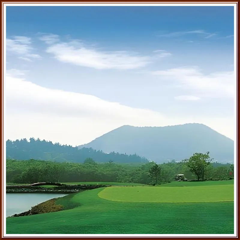 JEJU RAON GOLF CLUB VILLAGE 호텔 시설 이미지