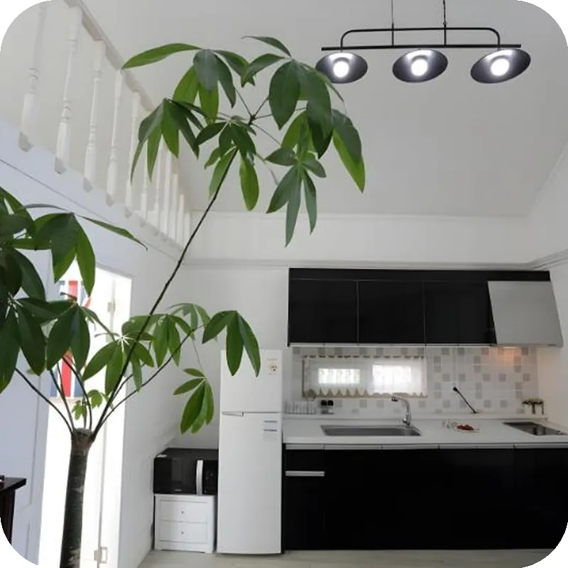 Healing View Pension hotel facilities