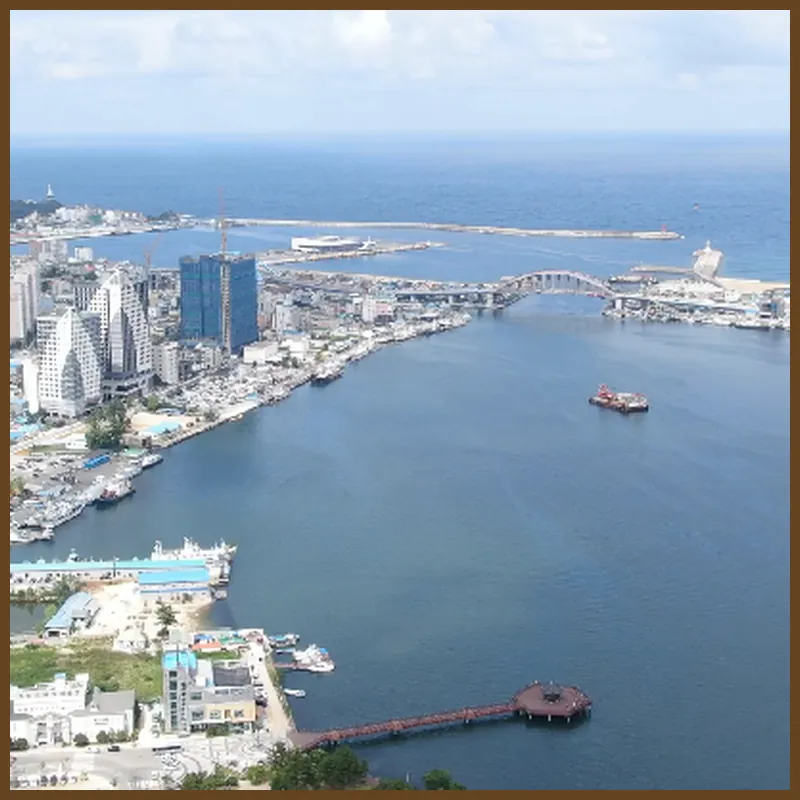 SeaCruise Hotel hotel view