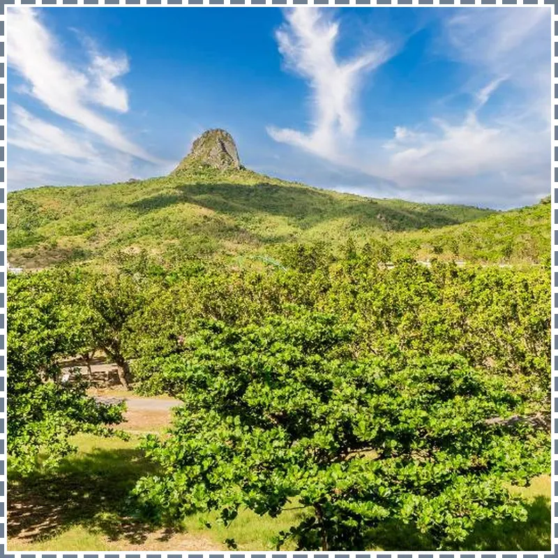 Wei Yuan Hotel 호텔 이미지