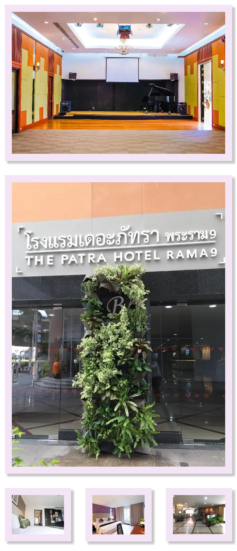 The Patra 호텔 기타 이미지