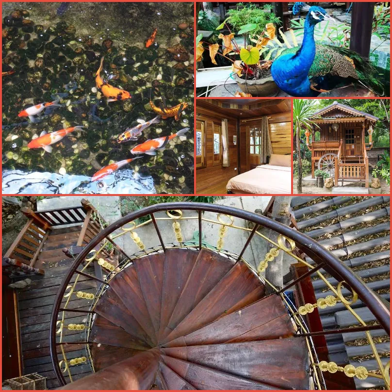 Tree House in the City-Relax and Quite 호텔 기타 이미지