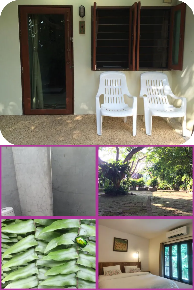 Fern House Retreat 호텔 기타 이미지