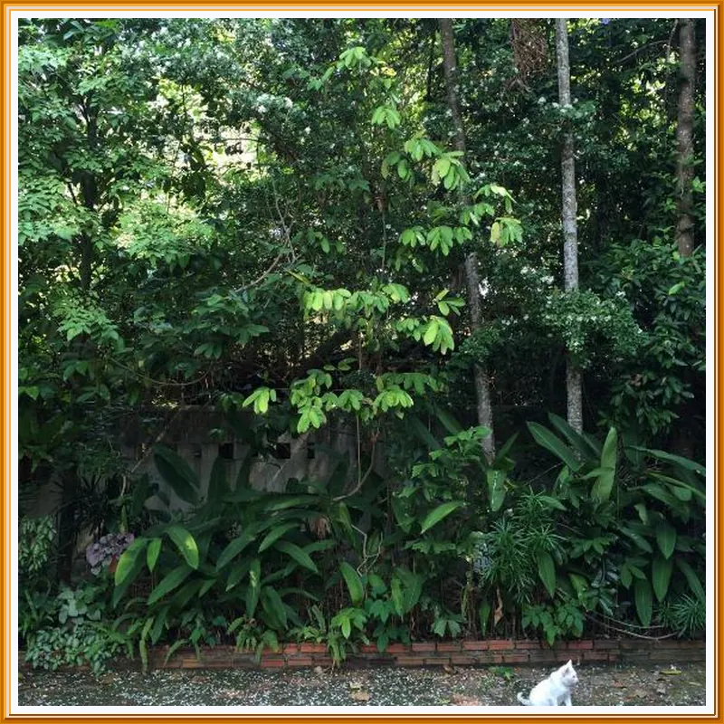 Fern House Retreat 호텔 시설 이미지