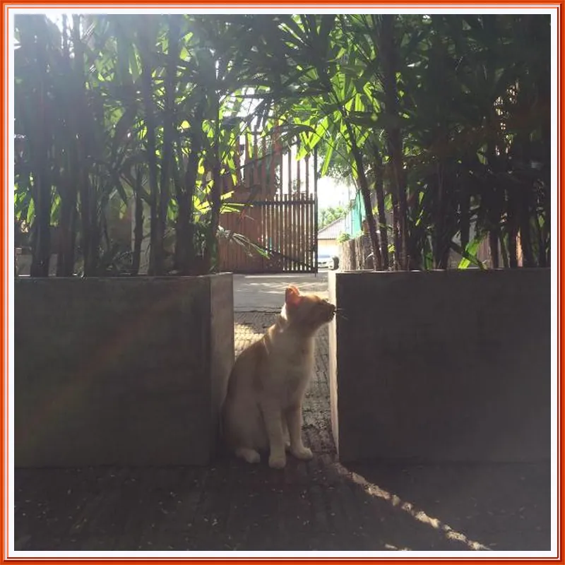 Fern House Retreat 호텔 이미지
