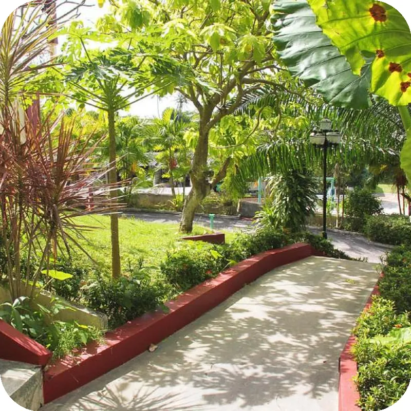 Memory Karon Resort 호텔 시설 이미지