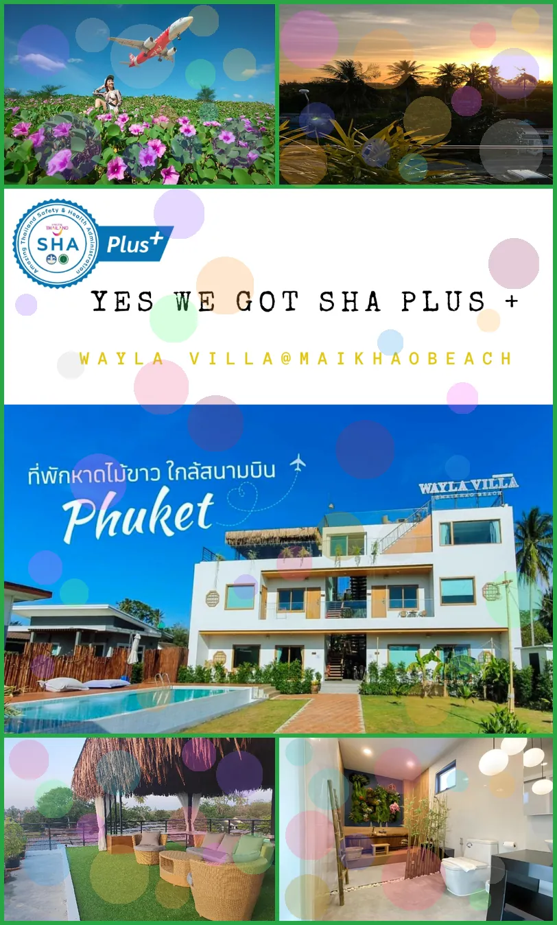 Wayla villa@Maikhao beach 호텔 기타 이미지