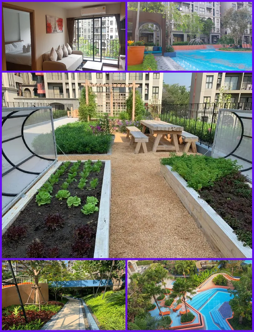 Huahin La habana pool view hotel main view