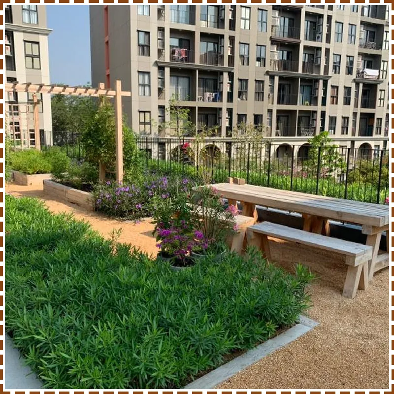 Huahin La habana pool view hotel view