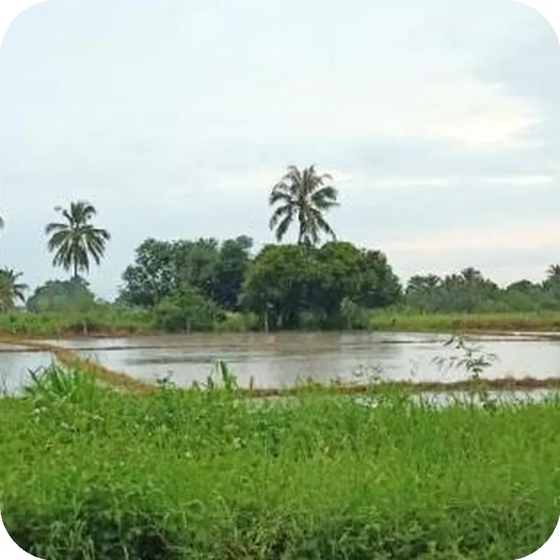 Bannoi Himsuan 호텔 시설 이미지
