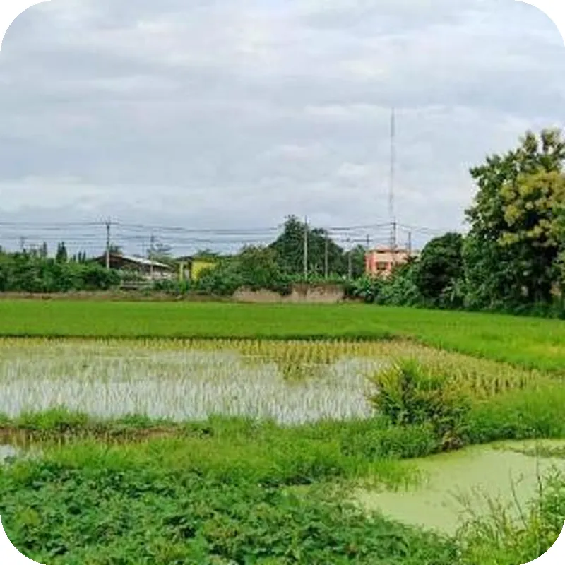 Bannoi Himsuan 호텔 이미지