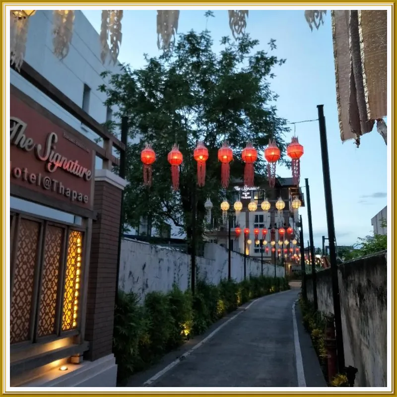 The Signature Hotel @ Thapae 호텔 이미지